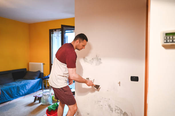 Wilson, PA Mold Removal Company
